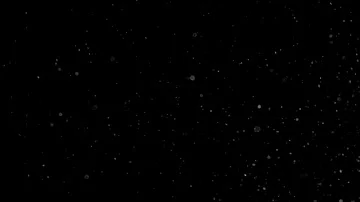 Natural Organic Dust Particles Float On Black Background. Dust In Motion. Vidéo 85698426