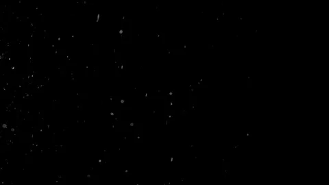 Natural Organic Dust Particles Float On Black Background. Dust In Motion. Vidéo 85698429