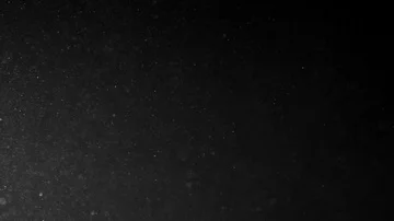 Natural Organic Dust Particles Float On Black Background. Dust In Motion. Stock-Footage 85698453