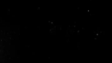 Natural Organic Dust Particles Float On Black Background. Dust In Motion. Vidéo 85698585