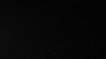 Natural Organic Dust Particles Float On Black Background. Dust In Motion. Stock Footage 85698588