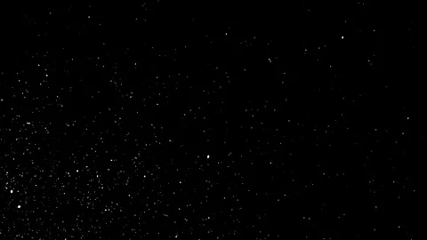 Natural Organic Dust Particles Float On Black Background. Dust In Motion. Vidéo 85698601