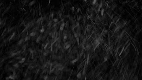 Natural Organic Dust Particles Float On Black Background. Dust In Motion. Stock Footage 85698642