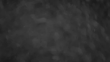 Natural Organic Dust Particles Float On Black Background. Dust In Motion. 库存影片 85698657