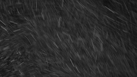 Natural Organic Dust Particles Float On Black Background. Dust In Motion. Vidéo 85698659