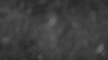 Natural Organic Dust Particles Float On Black Background. Dust In Motion. 库存影片 85698689