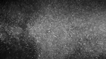Natural Organic Dust Particles Float On Black Background. Dust In Motion. Stock-Footage 85698718