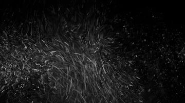 Natural Organic Dust Particles Float On Black Background. Dust In Motion. Stock Footage 85698723