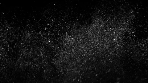 Natural Organic Dust Particles Float On Black Background. Dust In Motion. Vidéo 85698753