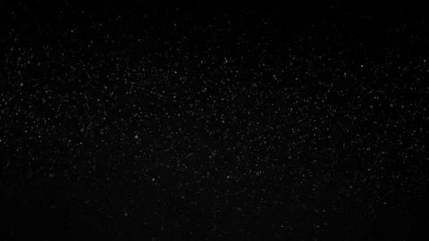 Natural Organic Dust Particles Float On Black Background. Dust In Motion. Stock Footage 85698757