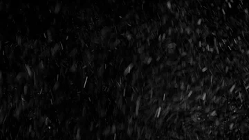 Natural Organic Dust Particles Float On Black Background. Dust In Motion. Vidéo 85698818