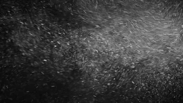 Natural Organic Dust Particles Float On Black Background. Dust In Motion. Stock Footage 85698879