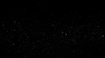 Natural Organic Dust Particles Float On Black Background. Dust In Motion. Stock Footage 85698899