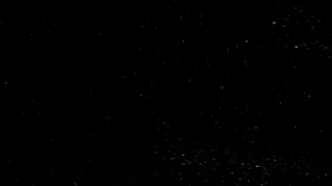 Natural Organic Dust Particles Float On Black Background. Dust In Motion. Vidéo 85698914