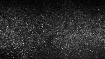 Natural Organic Dust Particles Float On Black Background. Dust In Motion. Vidéo 85698944
