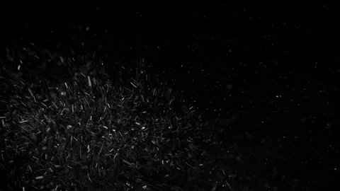 Natural Organic Dust Particles Float On Black Background. Dust In Motion. Stock-Footage 85899097