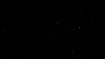 Natural Organic Dust Particles Float On Black Background. Dust In Motion. Vidéo 85899104