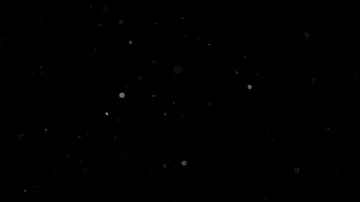 Natural Organic Dust Particles Float On Black Background. Dust In Motion. Vidéo 85899122