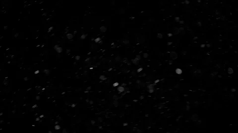 Natural Organic Dust Particles Float On Black Background. Dust In Motion. 库存影片 85899148