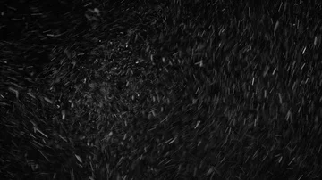 Natural Organic Dust Particles Float On Black Background. Dust In Motion. Stock Footage 85899162