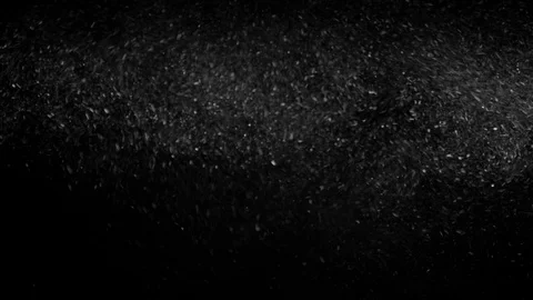 Natural Organic Dust Particles Float On Black Background. Dust In Motion. Stock Footage 85899202