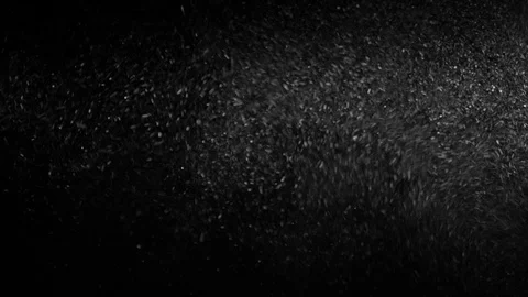 Natural Organic Dust Particles Float On Black Background. Dust In Motion. 库存影片 85899215