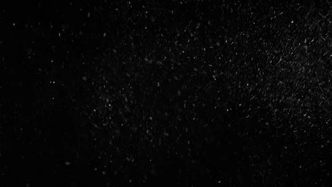 Natural Organic Dust Particles Float On Black Background. Dust In Motion. Stock Footage 85899224