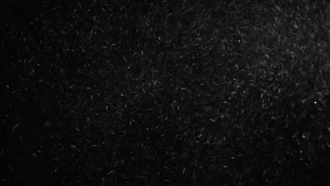 Natural Organic Dust Particles Float On Black Background. Dust In Motion. 库存影片 85899248