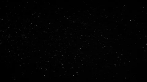 Natural Organic Dust Particles Float On Black Background. Dust In Motion. Stock-Footage 85899249