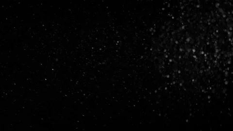 Natural Organic Dust Particles Float On Black Background. Dust In Motion. Vidéo 85899267