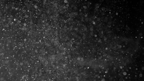 Natural Organic Dust Particles Float On Black Background. Dust In Motion. Vidéo 86497593