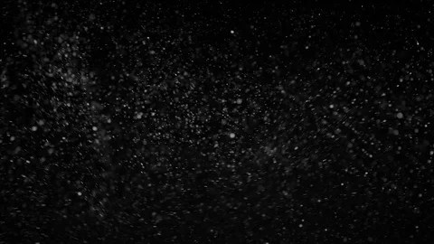 Natural Organic Dust Particles Float On Black Background. Dust In Motion. Vidéo 86497606