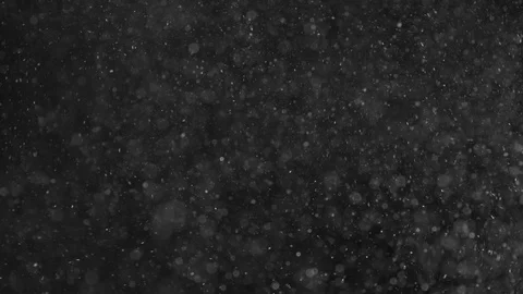 Natural Organic Dust Particles Float On Black Background. Dust In Motion. Vidéo 86497636