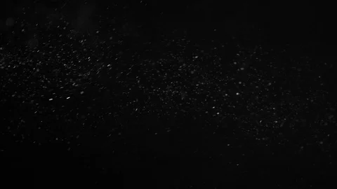 Natural Organic Dust Particles Float On Black Background. Dust In Motion. Stock Footage 86497762