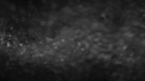Natural Organic Dust Particles Float On Black Background. Dust In Motion. Vidéo 86497781