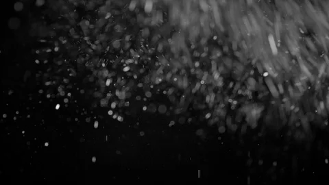Natural Organic Dust Particles Float On Black Background. Dust In Motion. 库存影片 86497809