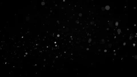 Natural Organic Dust Particles Float On Black Background. Dust In Motion. Stock Footage 86497816