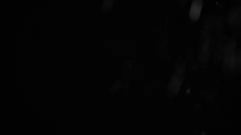 Natural Organic Dust Particles Float On Black Background. Dust In Motion. Vidéo 86498180