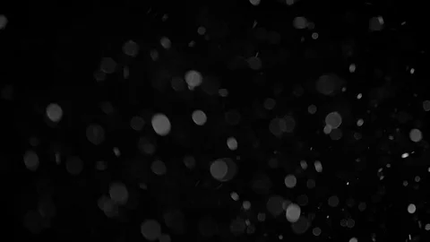 Natural Organic Dust Particles Float On Black Background. Dust In Motion. Stock Footage 86498215