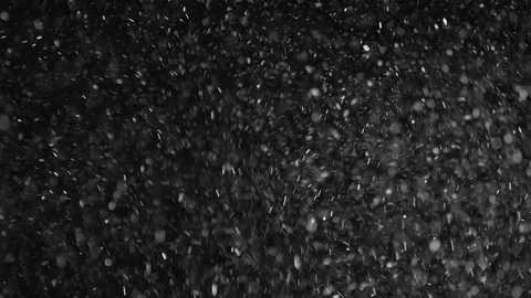 Natural Organic Dust Particles Float On Black Background. Dust In Motion. Vidéo 86498220