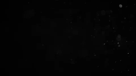 Natural Organic Dust Particles Float On Black Background. Dust In Motion. Stock Footage 86498248