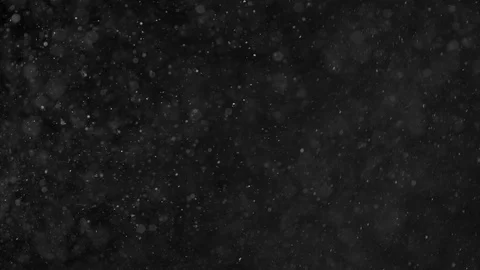 Natural Organic Dust Particles Float On Black Background. Dust In Motion. Stock Footage 86498271