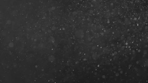 Natural Organic Dust Particles Float On Black Background. Dust In Motion. Stock Footage 86498275