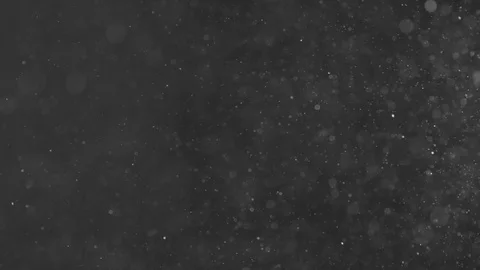 Natural Organic Dust Particles Float On Black Background. Dust In Motion. Stock-Footage 86498297