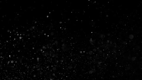 Natural Organic Dust Particles Float On Black Background. Dust In Motion. Stock Footage 86498321