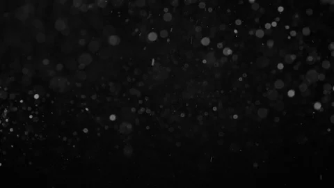 Natural Organic Dust Particles Float On Black Background. Dust In Motion. Stock Footage 86498334