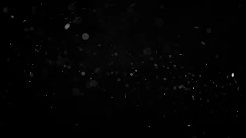 Natural Organic Dust Particles Float On Black Background. Dust In Motion. 库存影片 86498351