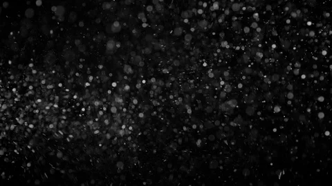 Natural Organic Dust Particles Float On Black Background. Dust In Motion. Stock Footage 86498381