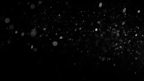 Natural Organic Dust Particles Float On Black Background. Dust In Motion. Stock-Footage 86498382