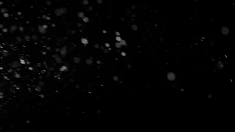Natural Organic Dust Particles Float On Black Background. Dust In Motion. Stock-Footage 86498398